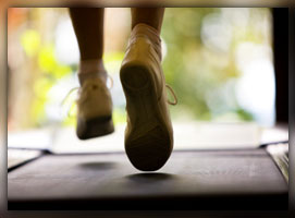 Sarnia Fitness Facility