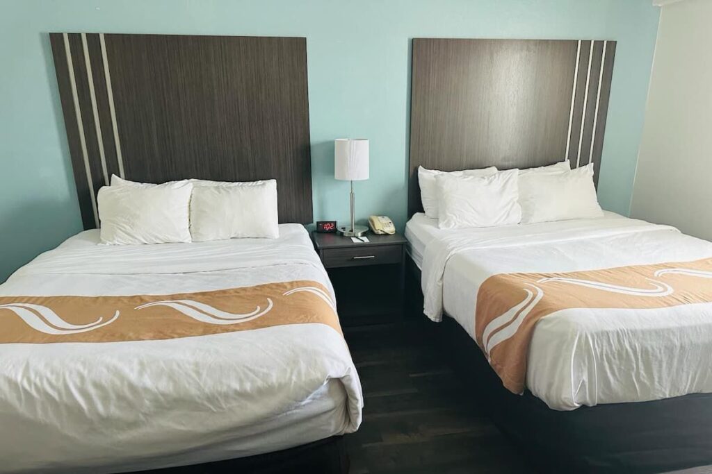 WhatsApp Image 2025-11-01 at 11.33.50 AM (2)